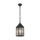 Ashford Pendant shown in the Matte Black finish with a Seedy shade - 9522-H-BK-SDY 1