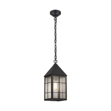 Ashford Pendant shown in the Matte Black finish with a Seedy shade - 9522-H-BK-SDY 1