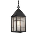 Ashford Pendant shown in the Matte Black finish with a Seedy shade - 9522-H-BK-SDY