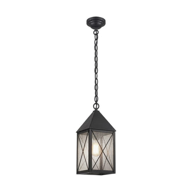 Ashford Pendant shown in the Matte Black finish with a Seedy shade - 9522-X-BK-SDY 1