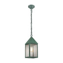 Ashford Pendant shown in the Verde Green finish with a Seedy shade - 9522-VG-SDY 1