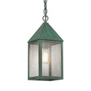 Ashford Pendant shown in the Verde Green finish with a Seedy shade - 9522-VG-SDY