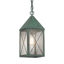 Ashford Pendant shown in the Verde Green finish with a Seedy shade - 9522-X-VG-SDY