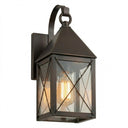 Ashford Sconce shown in the Dark Brass finish with a Clear shade - 9531P-X-DB-CL