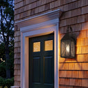 Ashford Sconce shown in the Dark Brass finish with a Seedy shade - 9521P-X-DB-SDY 2