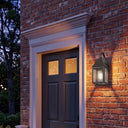 Ashford Sconce shown in the Dark Brass finish with a Seedy shade - 9531P-DB-SDY 2