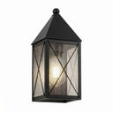 Ashford Sconce shown in the Matte Black finish with a Seedy shade - 9521-X-BK-SDY