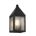 Ashford Sconce shown in the Matte Black finish with a Seedy shade - 9531-BK-SDY