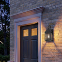 Ashford Sconce shown in the Matte Black finish with a Seedy shade - 9531P-H-BK-SDY 2