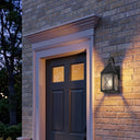 Ashford Sconce shown in the Matte Black finish with a Seedy shade - 9531P-X-BK-SDY 2