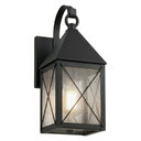 Ashford Sconce shown in the Matte Black finish with a Seedy shade - 9531P-X-BK-SDY