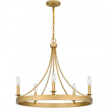 Aspyn Chandelier-APN5026LG 4
