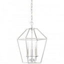 Aviary Pendant-AVY5203PK 1