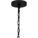 Baltic 5 Light Chandelier in Matte Black 3
