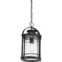 Booker 1 Light Mini Pendant in Mystic Black 2