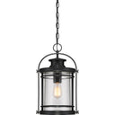 Booker 1 Light Mini Pendant in Mystic Black 1