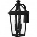 Boulevard Outdoor Lantern-BLV8409MBK
