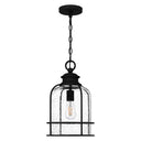 Bowles 1 Light Mini Pendant in Earth Black 2
