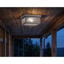 Branford Semi Flush shown in the Gunmetal finish with a Seedy shade - 91122-GM-SDY 2