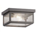 Branford Semi Flush shown in the Gunmetal finish with a Seedy shade - 91122-GM-SDY