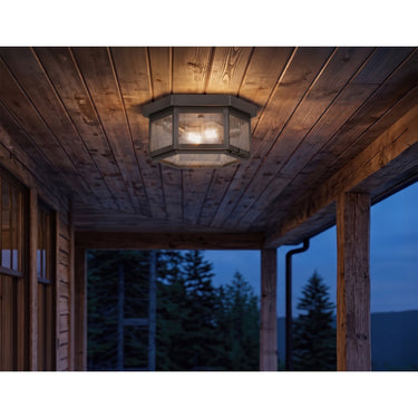 Branford Semi Flush shown in the Gunmetal finish with a Seedy shade - 91132-GM-SDY 2