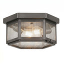 Branford Semi Flush shown in the Gunmetal finish with a Seedy shade - 91132-GM-SDY