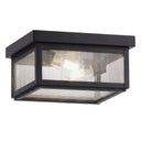 Branford Semi Flush shown in the Matte Black finish with a Seedy shade - 91122-BK-SDY