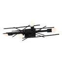Brindille 4-Light Large Sconce/Semi-Flush 21