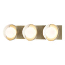 Brooklyn 3-Light Straight Double Shade Bath Sconce 14