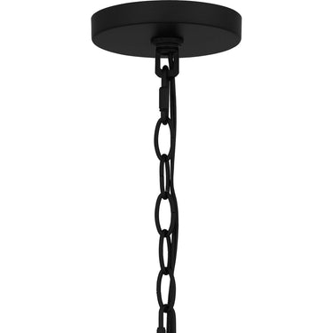 Buckley 1 Light Outdoor Pendant in Matte Black 3