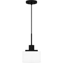Callahan 1 Light Mini Pendant 9