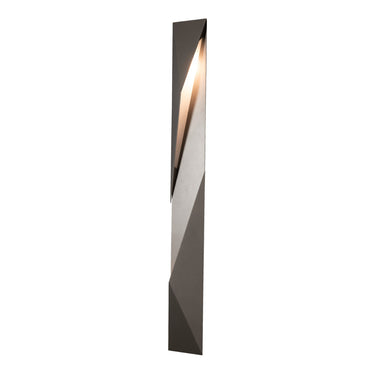Carbon Large Outdoor Sconce 4