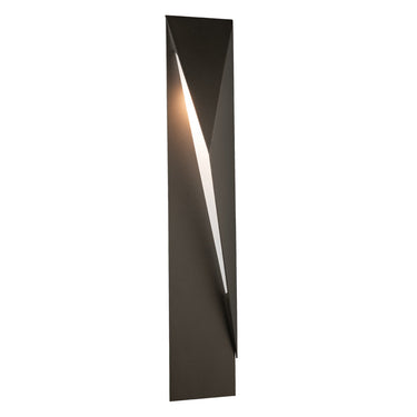 Carbon Medium Outdoor Sconce 5