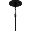 Carly 5 Light Chandelier in Matte Black 2