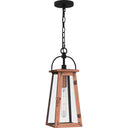 Carolina 1 Light Mini Pendant in Aged Copper 1
