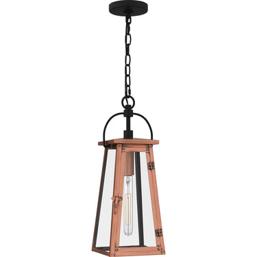 Carolina 1 Light Outdoor Pendant in Aged Copper 4