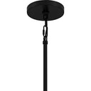 Cassidy 5 Light Pendant in Matte Black 3