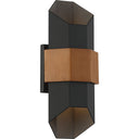 Chasm CHS8307 Outdoor Wall Sconce 1