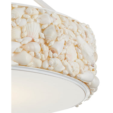 Currey & Company 10.5" x 18.5" Turbinella 1-Light Semi-Flush Mount 1