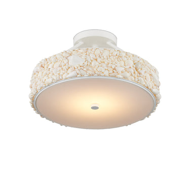 Currey & Company 10.5" x 18.5" Turbinella 1-Light Semi-Flush Mount 2