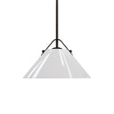 Currey & Company 19" Bronwen 1-Light Pendant 11