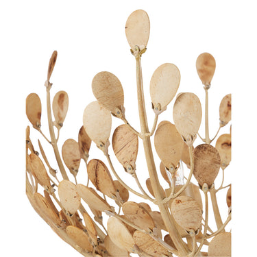 Currey & Company 23.5" Maypan 4-Light Coco Shell Chandelier 1