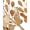 Currey & Company 23.5" Maypan 4-Light Coco Shell Chandelier 2