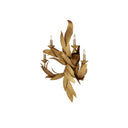 Currey & Company 5000-0132 Apollo Wall Sconce in Contemporary Gold Leaf 4