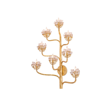 Currey & Company 5000-C1 Agave Americana Wall Sconce 3