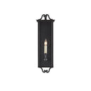 Currey & Company 5500-C2 Giatti Outdoor Wall Sconce in Midnight 11
