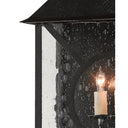 Currey & Company 5500-C3 Ripley Outdoor Wall Sconce in Midnight 2