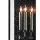 Currey & Company 5500-C4 Tanzy Outdoor Wall Sconce in Midnight 2