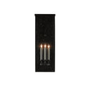 Currey & Company 5500-C4 Tanzy Outdoor Wall Sconce in Midnight 3