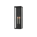 Currey & Company 5500-C4 Tanzy Outdoor Wall Sconce in Midnight 5